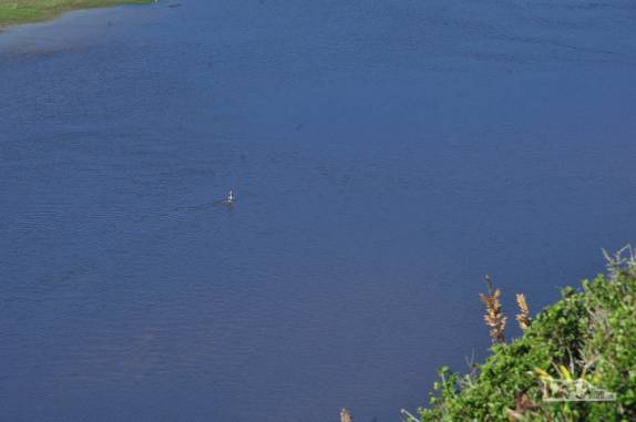 Um banhista solitário atravessa a lagoa da Guarda, na Guarda do Embaú, litoral sul de Santa Catarina